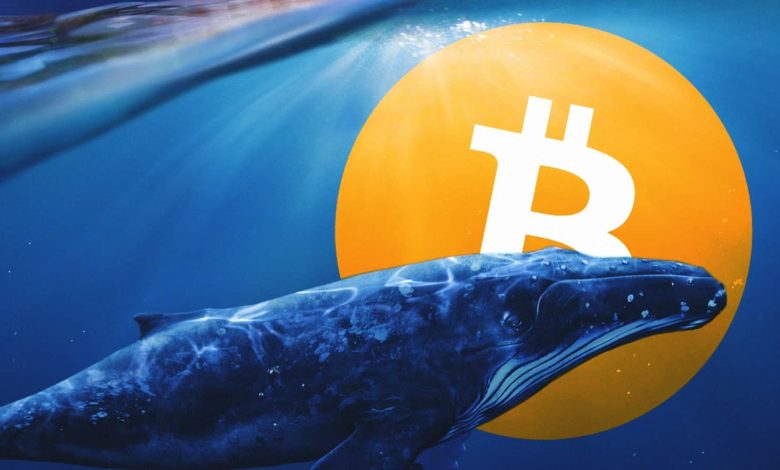 Bitcoin Whales Sell $12.7B in Biggest Dump Since 2022