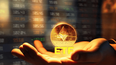 Ethereum ETFs Mark One Year with $8.6B Inflows