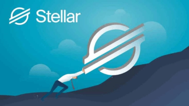 Stellar’s XLM Tracks XRP Gains, $0.63 Target in Sight
