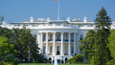White House Releases Crypto Strategy but Omits Bitcoin Reserve