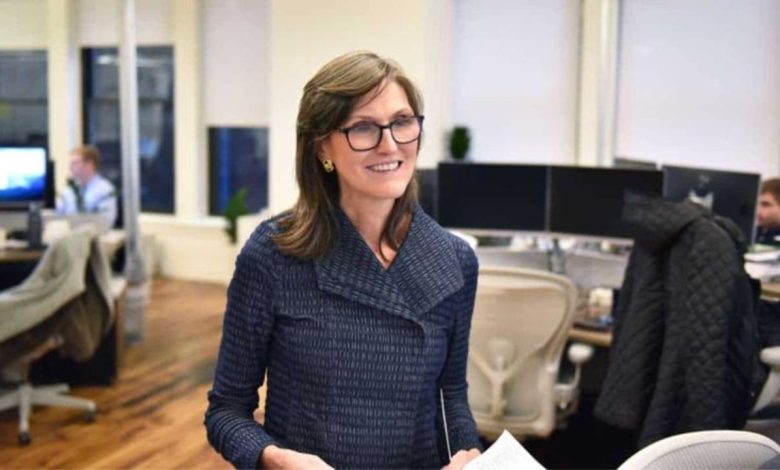Cathie Wood’s Ark Invest Buys 262K Block Shares on Dip