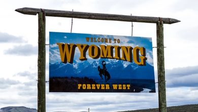 Wyoming Launches First State-Issued Stablecoin on 7 Chains