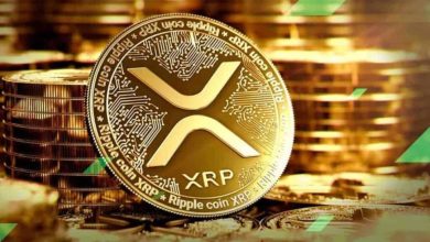 XRP Is a ‘Strategic Weapon,’ Not a Bank Account, says Ripple CTO