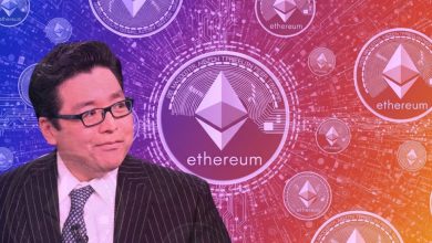 BitMine Adds 202,469 ETH, Boosting Treasury to $8.9B