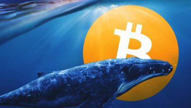 Bitcoin Whales Sell $12.7B in Biggest Dump Since 2022