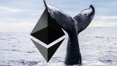 Ether Whales Add 14% More ETH as Price Soars 197% Since April