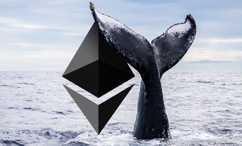 Ether Whales Add 14% More ETH as Price Soars 197% Since April