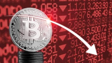 Why is the Crypto Price Down Today?
