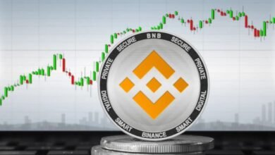BNB Surges to New All-Time High of $1,103 Amid Market Rally