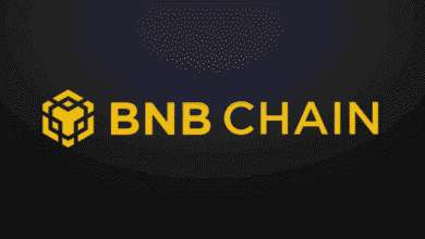 How BNB Chain Hack Triggers “4” Memecoin Surge After CZ’s Tweet