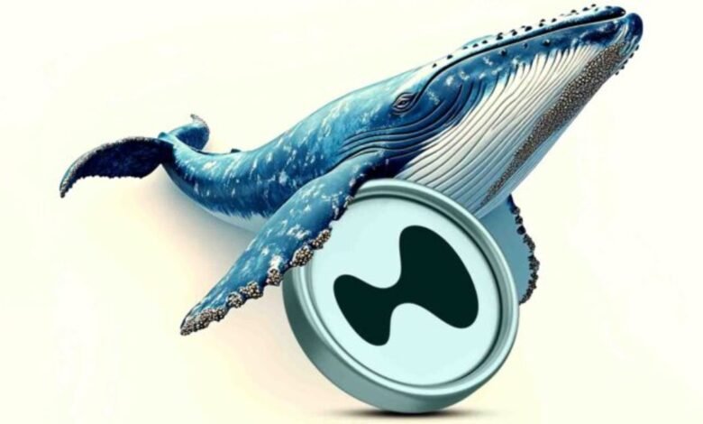 Hyperliquid Whale Bets $496 Million Against Bitcoin Amid Market Uncertainty