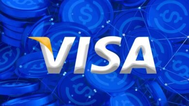 Visa Expands Stablecoin Support Across Four New Blockchains